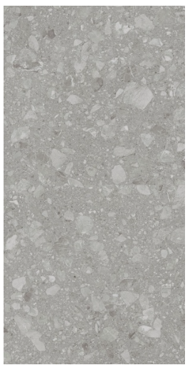 Плитка Allore Group Terra Grey F P R Mat 60x120 см